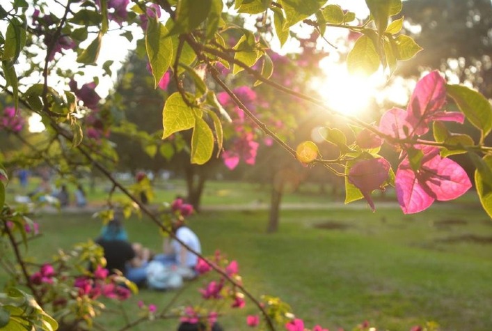 Primavera chega com previsão de chuvas para Minas Gerais