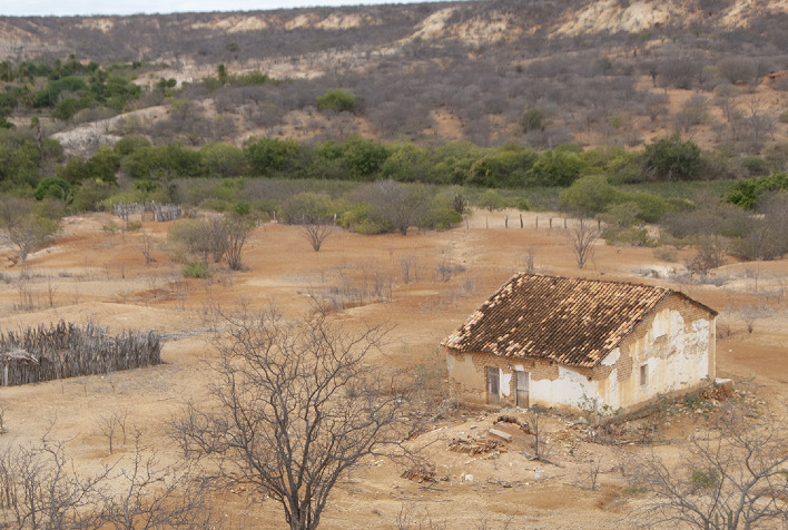 Pesquisa da UFV estuda impactos das mudanças climáticas no semiárido brasileiro