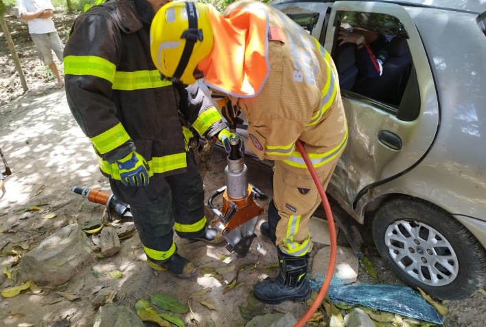 Carro bate em árvore e condutora fica ferida na rodovia entre Viçosa e Teixeiras