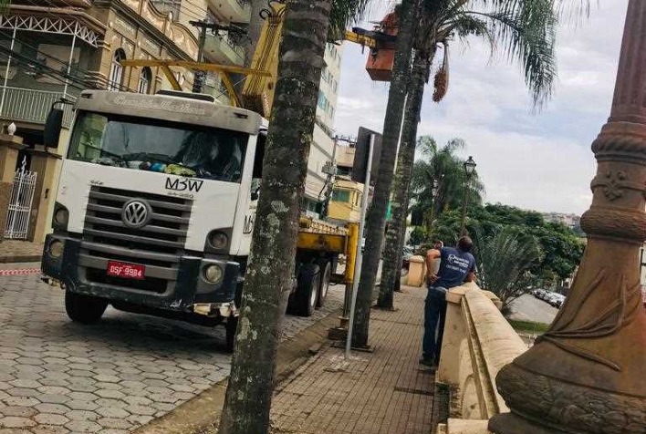 Prefeitura realiza podas de coqueiros no balaústre