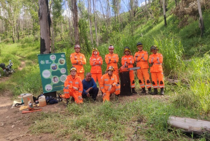 Bombeiros de Viçosa fazem curso sobre operação e manutenção de motosserras