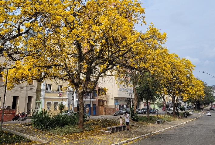 Confira como fica o tempo em Viçosa e região nesta sexta-feira (11)