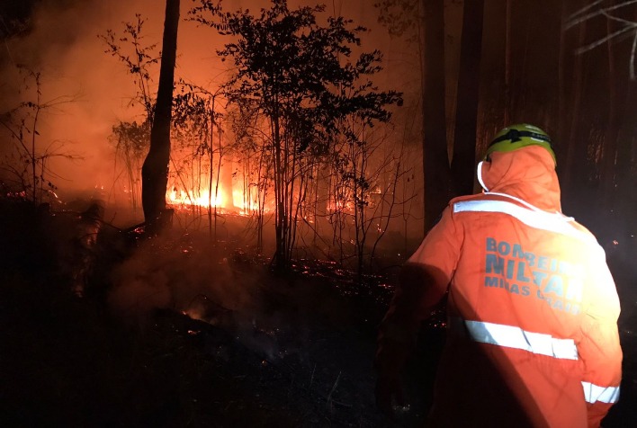 Incêndio queima área de aproximadamente 30 mil metros quadrados em Viçosa