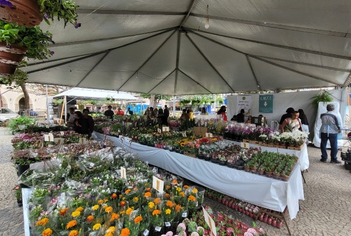 Feira de Flores de Holambra fica em Viçosa até domingo