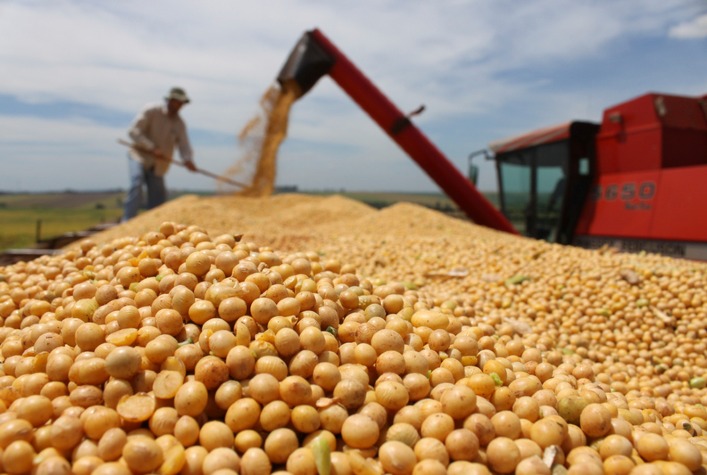 Exportações do agro mineiro atingem cerca de US$ 9,5 bilhões de janeiro a agosto