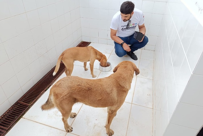 Cães resgatados na UFV passam por exames e serão disponibilizados para adoção responsável