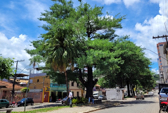 Confira como fica o tempo em Viçosa e região nesta quarta-feira (31)