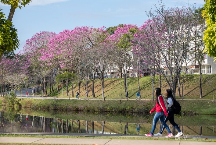 UFV divulga lista dos classificados em sexta chamada no Sisu 2024