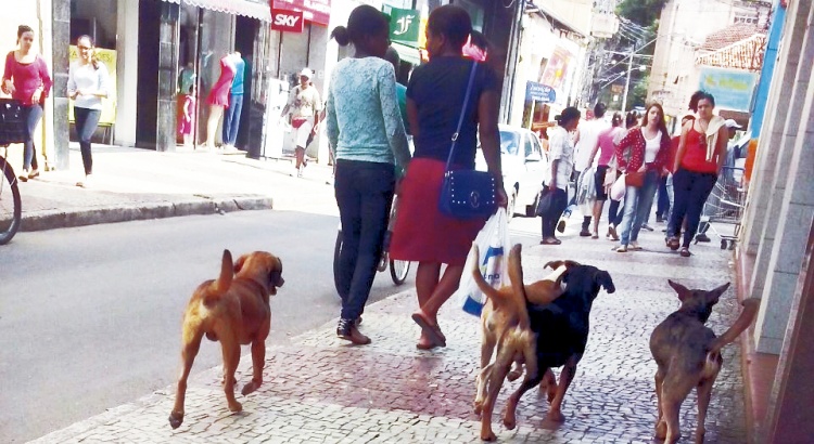 Sovipa organiza ato contra o uso de cães em experimentos