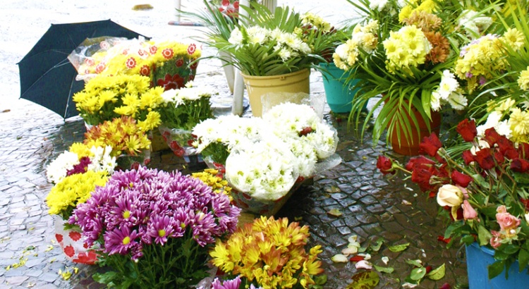 PMV credencia floriculturas para vendas no Dia de Finados