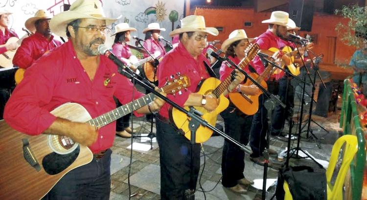 Amigos da Viola no Fest Feira