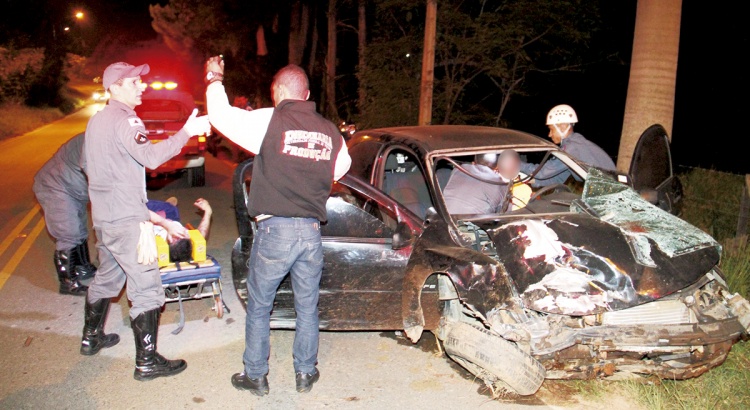 Motorista colide em palmeira no Paraíso