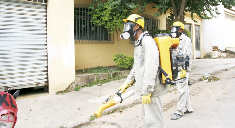 Período das chuvas se aproxima e dengue volta a amedrontar