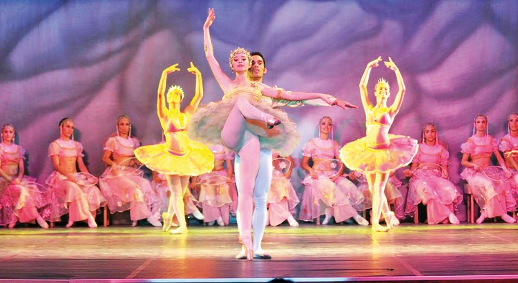 Diversidade em Dança reune adeptos e amantes da Dança