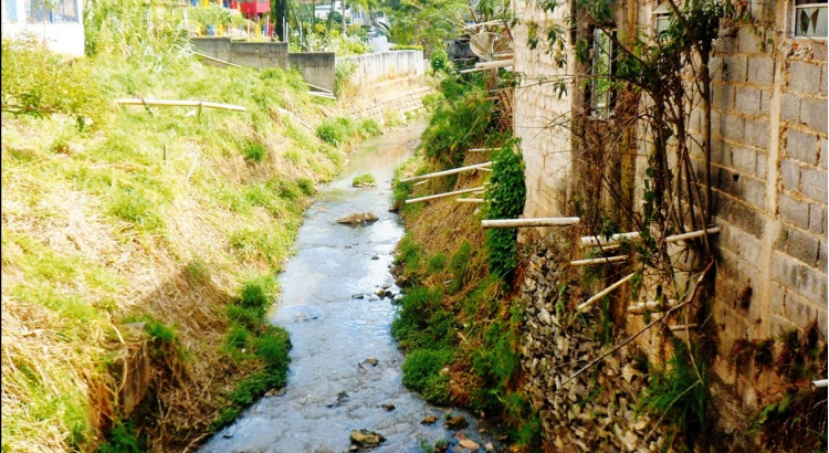 Viçosa tem nova legislação ambiental