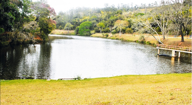 Vereadores cobram despoluição das lagoas da UFV