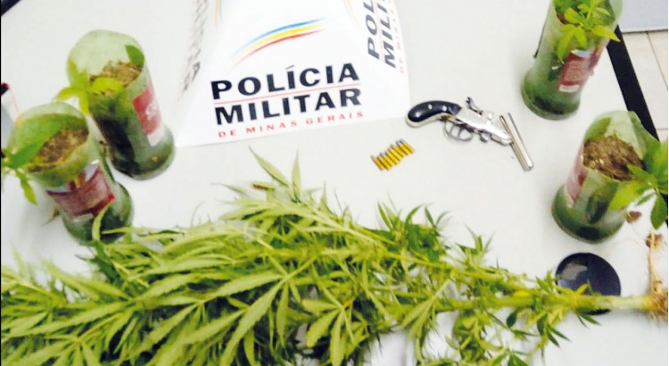 Arma e pés de maconha no bairro Santo Antônio