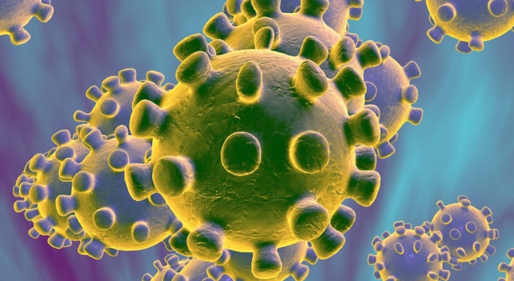 Coronavírus: número de casos notificados em Viçosa sobe para 28