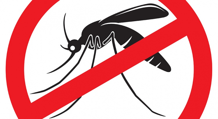 Viçosa registra morte por dengue hemorrágica