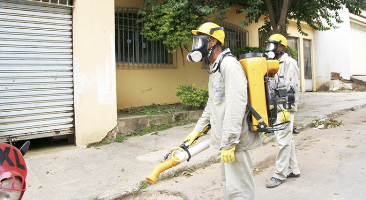 Minas confirma quase 20 mil casos de dengue em 2015