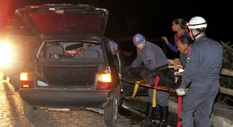 Atropelamento de animal nos Cristais